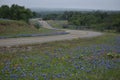Texas Blue Bonnets on a hazy day in the Hill Country of South Texas