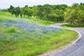 Texas bluebonnet field along curvy country road Royalty Free Stock Photo