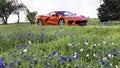 Texas Bluebonnet Trail in the Spring Time