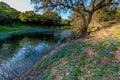 Texas Bluebonnets at Muleshoe Bend in Texas.