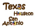 Texas city names featuring a leopard print and a sunflower flower with the US flag. Fashionable design