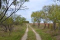 Texas Country Road Royalty Free Stock Photo