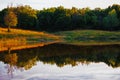 Texas fall landscape by pond water