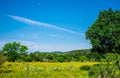 Texas Farm Lands June Rains wild flower Barb Wire Fence Royalty Free Stock Photo