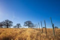 Texas farmland on a beautiful winter day Royalty Free Stock Photo