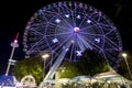 Texas Ferriswheel (night)