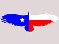 Texas flag