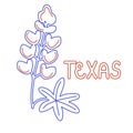 Texas flower symbol