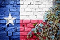 Texas grunge flag on brick wall with ivy plant Royalty Free Stock Photo