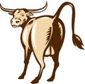 Texas Longhorn Bull Rear View Retro