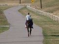 Texas Loves Horses and Riders