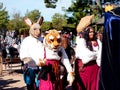 Texas Renaissance Fair - animals