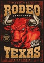 Texas rodeo colorful vintage poster Royalty Free Stock Photo