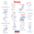 Texas. Set of USA official state symbols