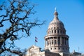 Texas State Capitol Dome with Foreground Royalty Free Stock Photo