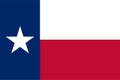 Texas state vector flag. Royalty Free Stock Photo