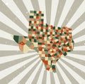 Texas vintage map.