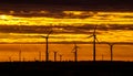 Texas Wind Energy Turbines across the Sunrise Royalty Free Stock Photo