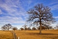 Texas winter sky Royalty Free Stock Photo