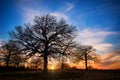 Texas winter sunset