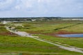 Texel island landscape Holland