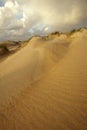 Texel island sand dunes