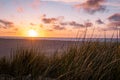 Texel lighthouse during sunset Netherlands Dutch Island Texel Royalty Free Stock Photo