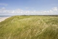 Texel Royalty Free Stock Photo