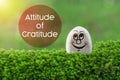 Attitude of gratitude Royalty Free Stock Photo