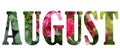 Text August on white background over pink rose flowers with green leaves Royalty Free Stock Photo