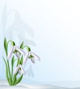 Text background with snowdrops