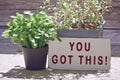 Text on burnt edge brown paper with plant background in the garden