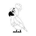 This text can be made simpler to say A large, amusing, and adorable parrot with vibrant and lively colors. Childrens