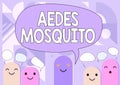 Text caption presenting Aedes Mosquito. Word Written on the yellow fever mosquito that can spread dengue fever Cartoon