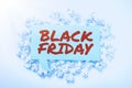 Text caption presenting Black Friday. Business idea a day where seller mark their prices down exclusively for buyer