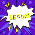 Text caption presenting Leads. Concept meaning route or means of access to particular place ad campaign