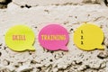 Text caption presenting Skill Training. Word Written on designed to gain and enhance the knowledge an employee needs