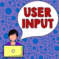 Text caption presenting User Input. Business overview Any information or data that is sent to a computer for processing Royalty Free Stock Photo
