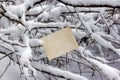 For text craft paper lies on snow-covered branches of trees