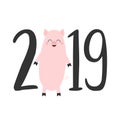 2019 text. Cute fat pig. Pink piggy piglet. Happy New Year Chinise symbol. Cartoon funny kawaii smiling baby character. Flat desig Royalty Free Stock Photo