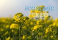 Text ECONOMIC CRISIS against defocused agriculture field message. Global hunger, food crisis, inflation, high prices
