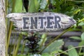 Text enter on a wooden board in a rainforest jungle of tropical Bali island, Indonesia. Enter wooden sign inscription in the asian