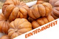 The text Erntedankfest means Thanksgiving in German