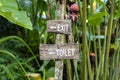 Text exit and toilet on a wooden board in a rainforest jungle of tropical Bali island, Indonesia. Exit and toilet wooden sign