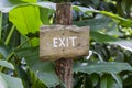 Text exit on a wooden board in a rainforest jungle of tropical Bali island, Indonesia. Exit wooden sign inscription in the asian