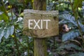 Text exit on a wooden board in a rainforest jungle of tropical Bali island, Indonesia. Exit wooden sign inscription in the asian