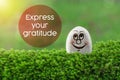 Express your gratitude