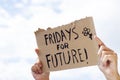 Text fridays for future in a brown signboard Royalty Free Stock Photo