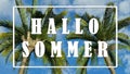 Text in german - Hallo Sommer - Palm trees against blue sky background