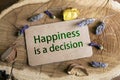 Happiness Is a Decision Royalty Free Stock Photo
